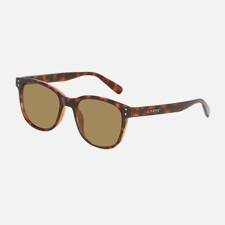 34572 HOMELAND POLARIZED