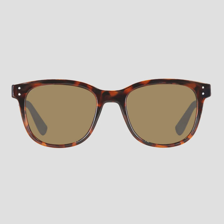 34572 HOMELAND POLARIZED