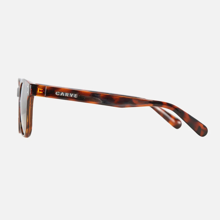 34572 HOMELAND POLARIZED