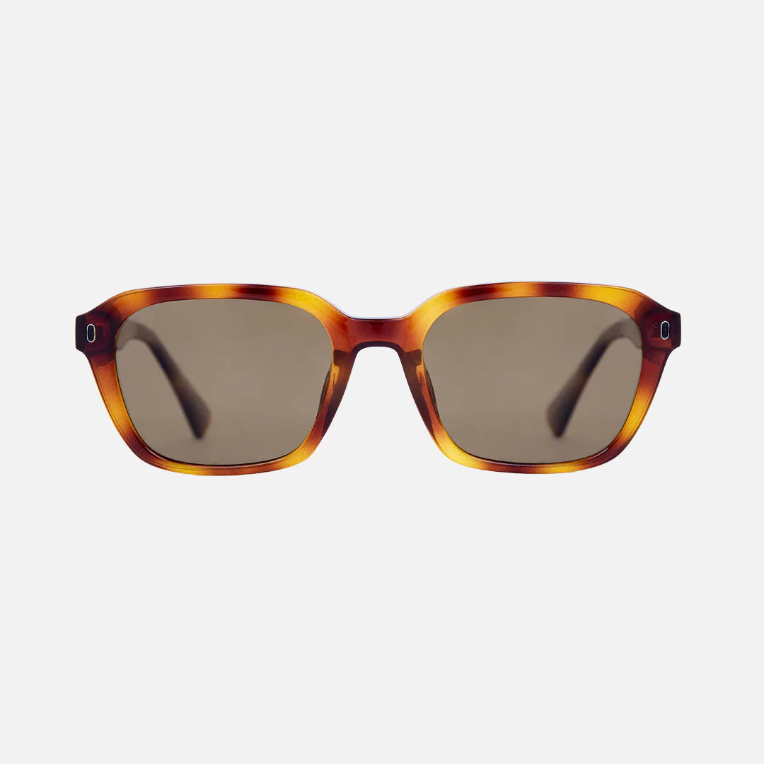 36490 DEL RAY POLARIZED