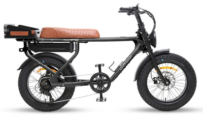 DIRODI ROVER GEN 6 1000W - STEP OVER