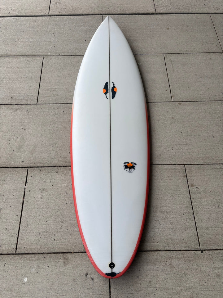 CHILLI "RARE BIRD EVO" 5&
