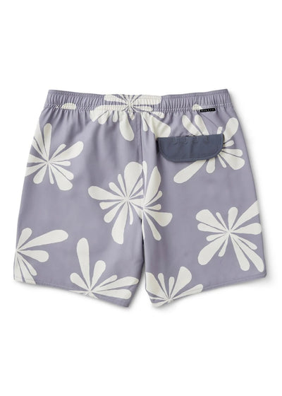SOLSTICE 13" KIDS ECOLASTIC