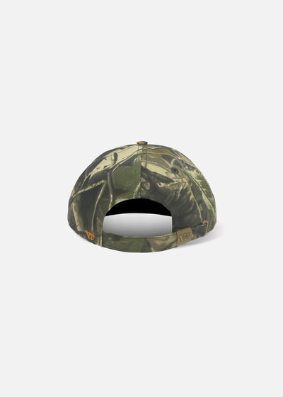 PROJECTS CAP