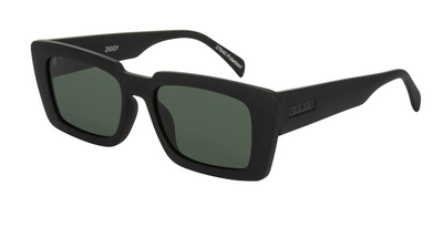 27640 ZIGGY POLARIZED