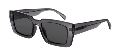 27645 ZIGGY POLARIZED