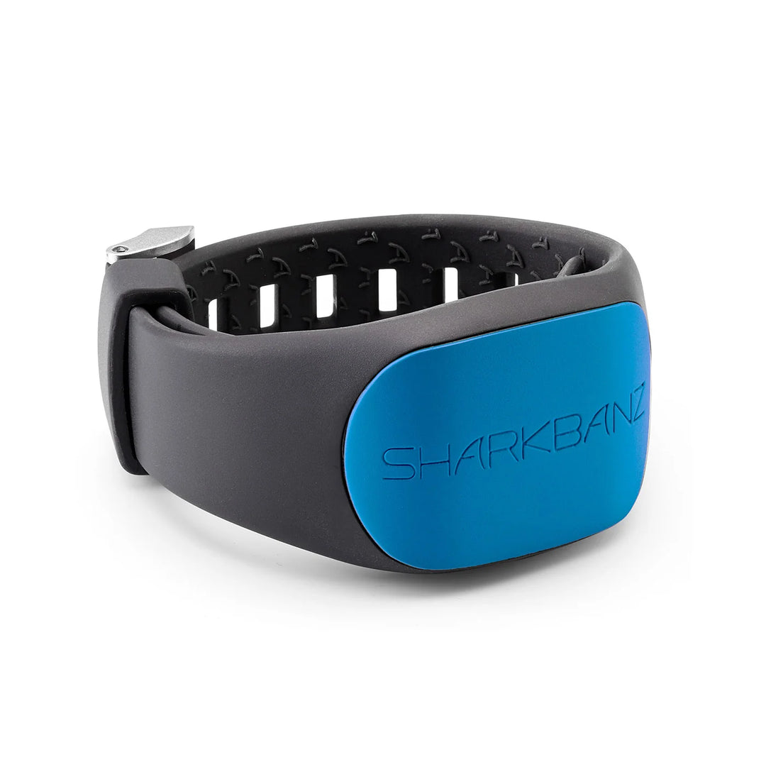 SHARKBANDZ 2.0 - AZURE
