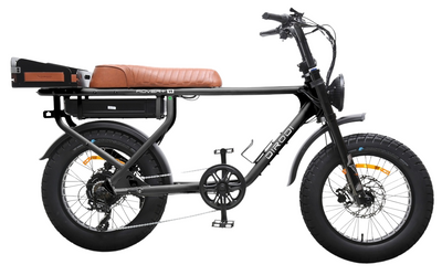 DIRODI ROVER GEN 6+ 1000W - STEP OVER