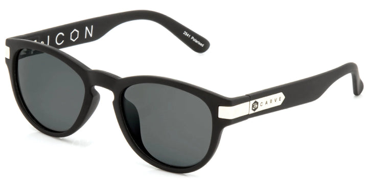 2541 ICON POLAR