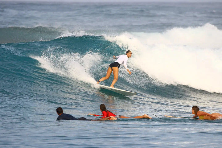 SALT GYPSY CHI CHI SHORTBOARD