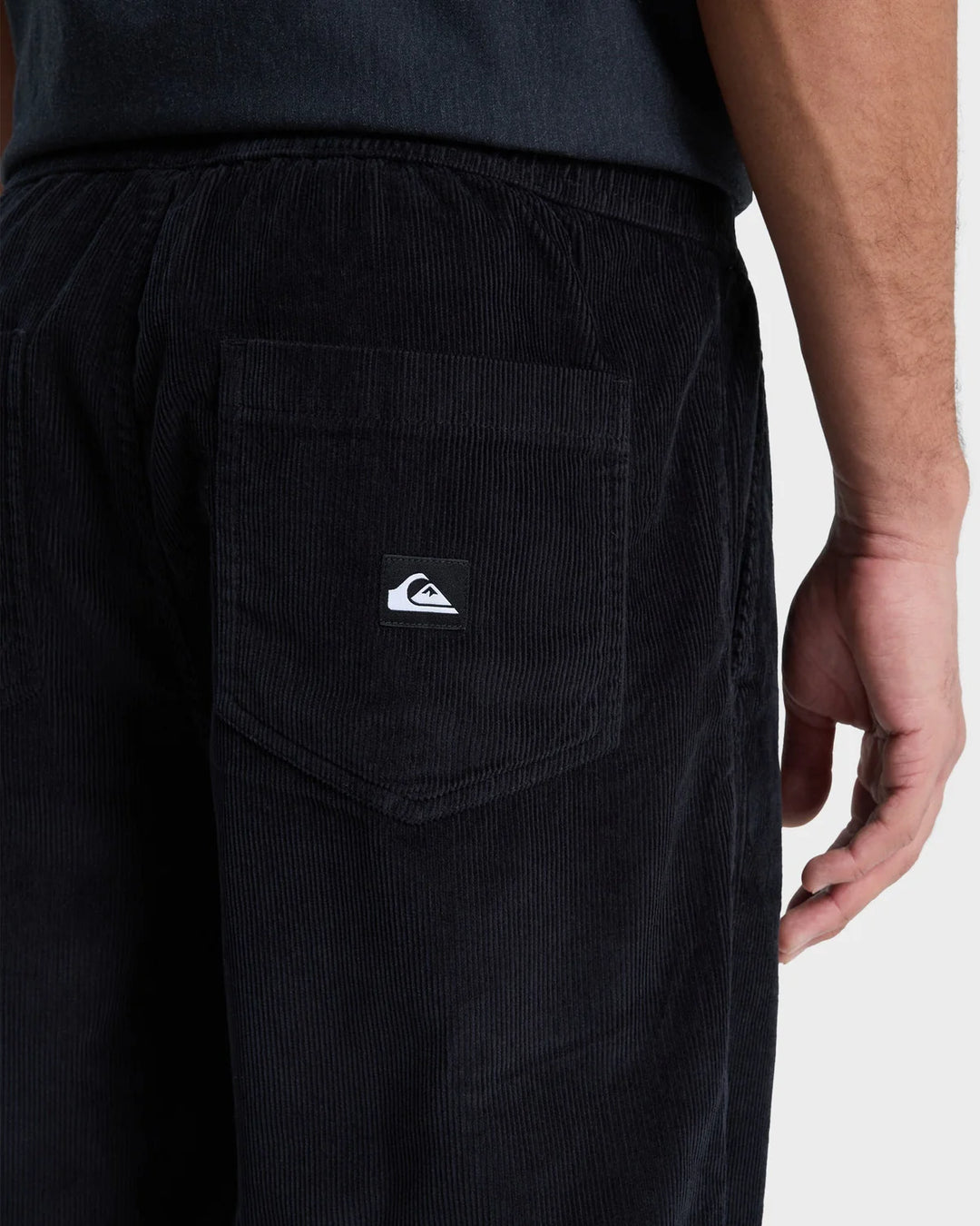 TAXER REGULAR CORD PANT