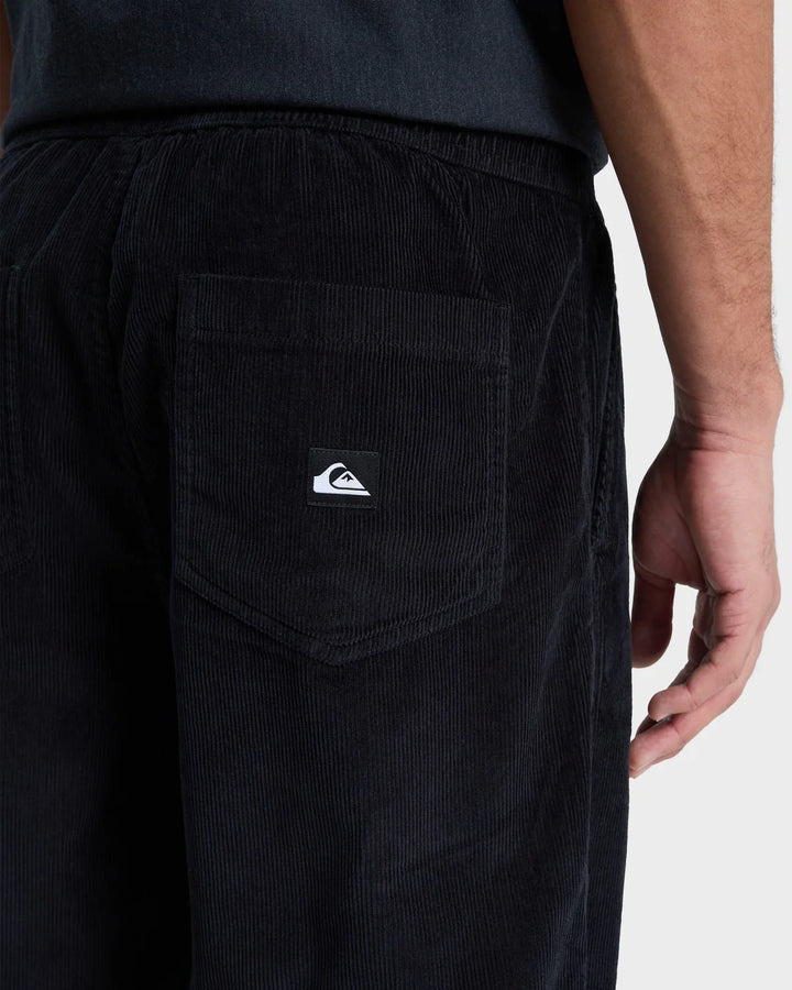 TAXER REGULAR CORD PANT