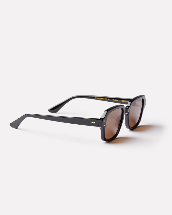 WILSON - BLACK POLISHED / BRONZE POLARIZED